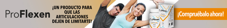 ProFlexen official visual banner